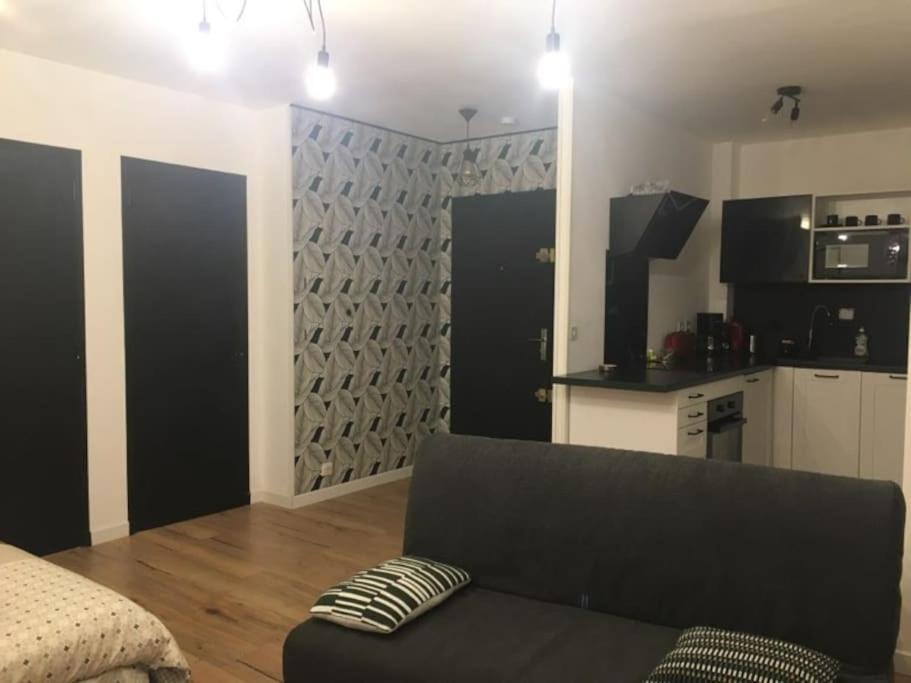 Tres Agreable Avec Balcon Et Wi-fi Apartment