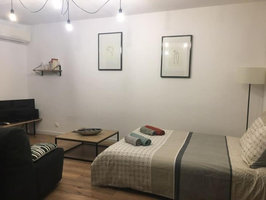 Tres Agreable Avec Balcon Et Wi-fi Apartment